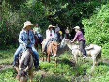 Belize-Interior-Trailblazer Jungle Ride